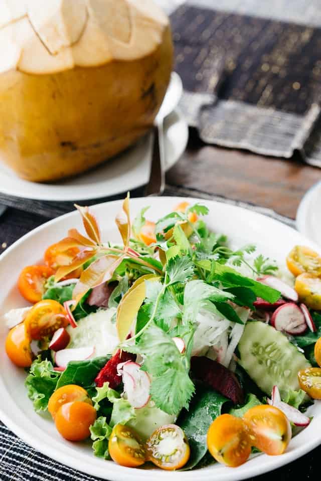 Nutrition végétale