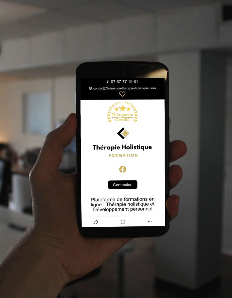 Contenu de la formation en ligne