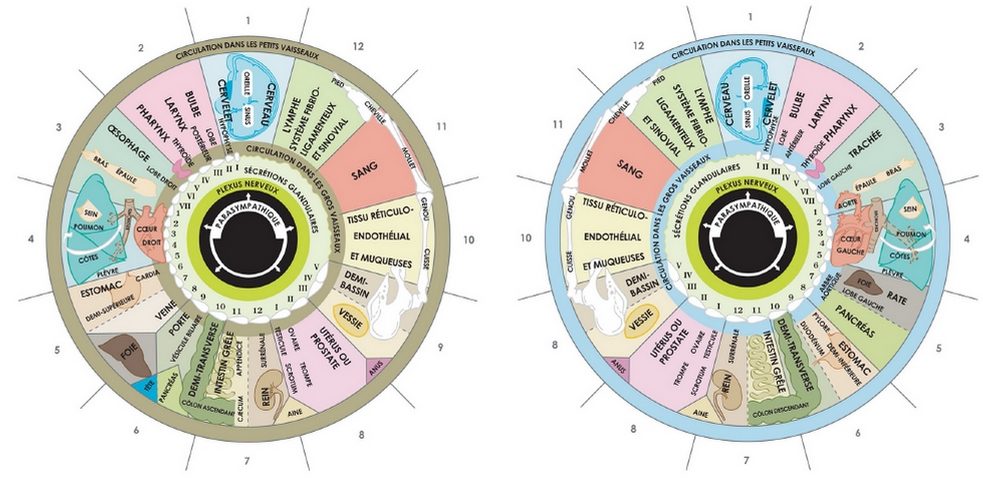 Iridologie : un nouveau regard sur les pratiques anciennes 3 iridologie