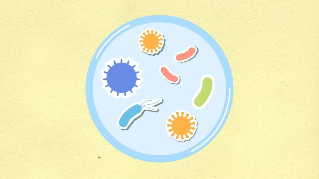 Toute maladie est fonctionnelle et non microbienne de nature