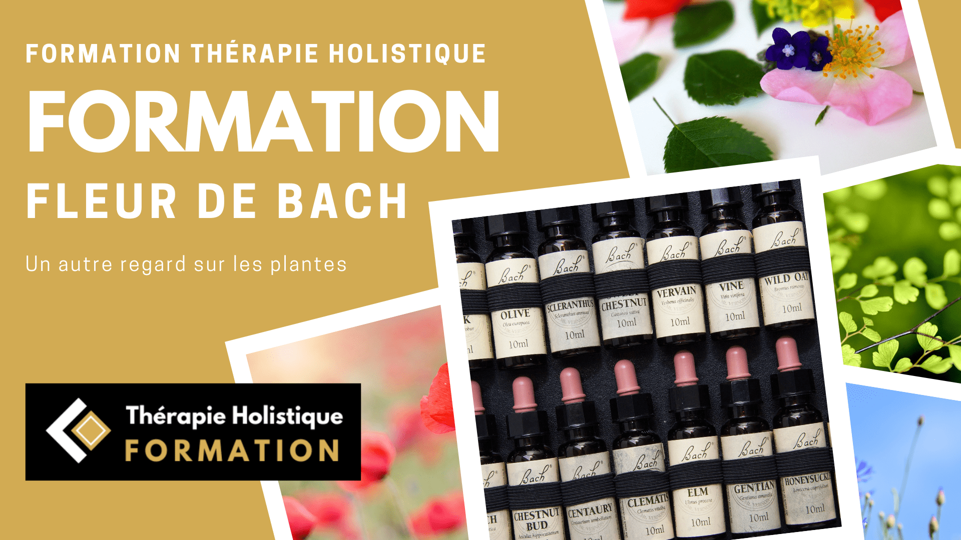 Formation Complète sur les Fleurs de Bach : Remèdes Floraux et Thérapies Naturelles