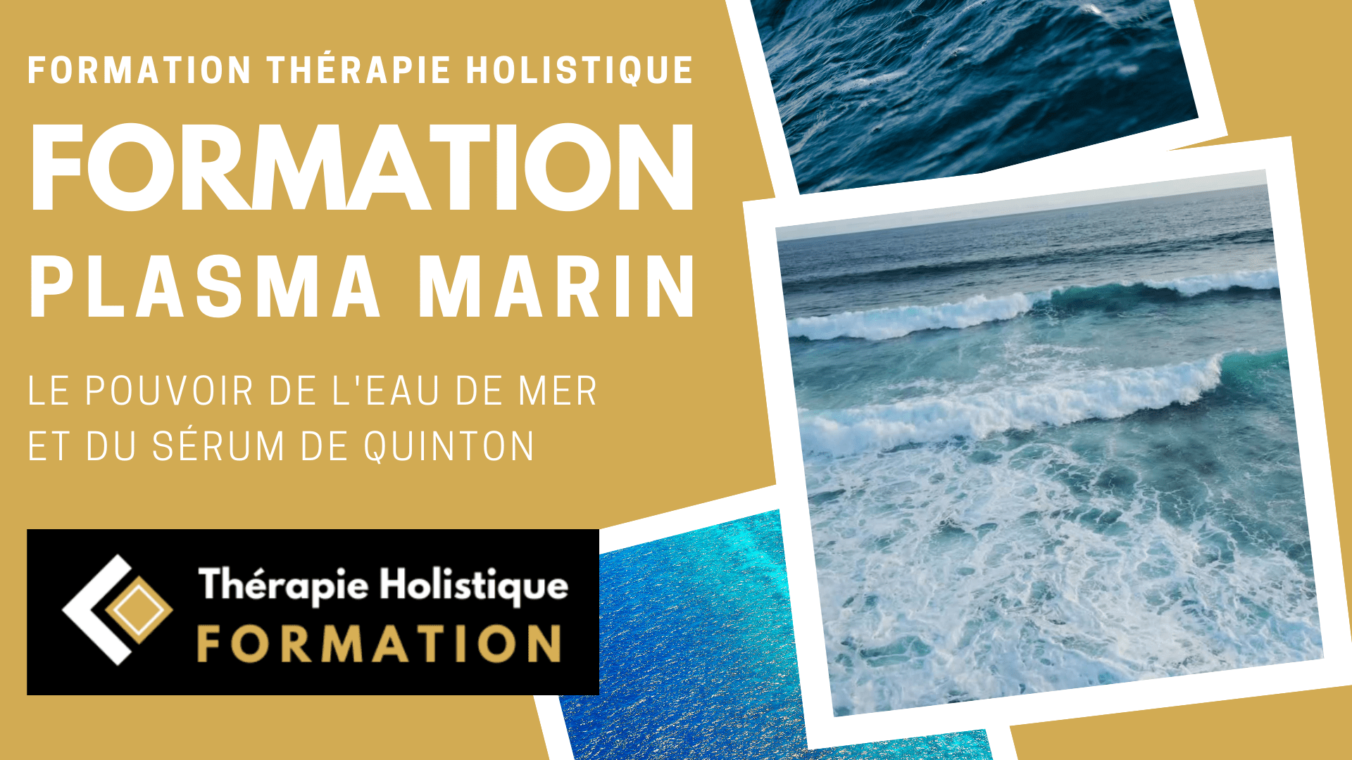 Formation en Ligne : Maîtrisez le Plasma Marin avec l’Héritage de René Quinton