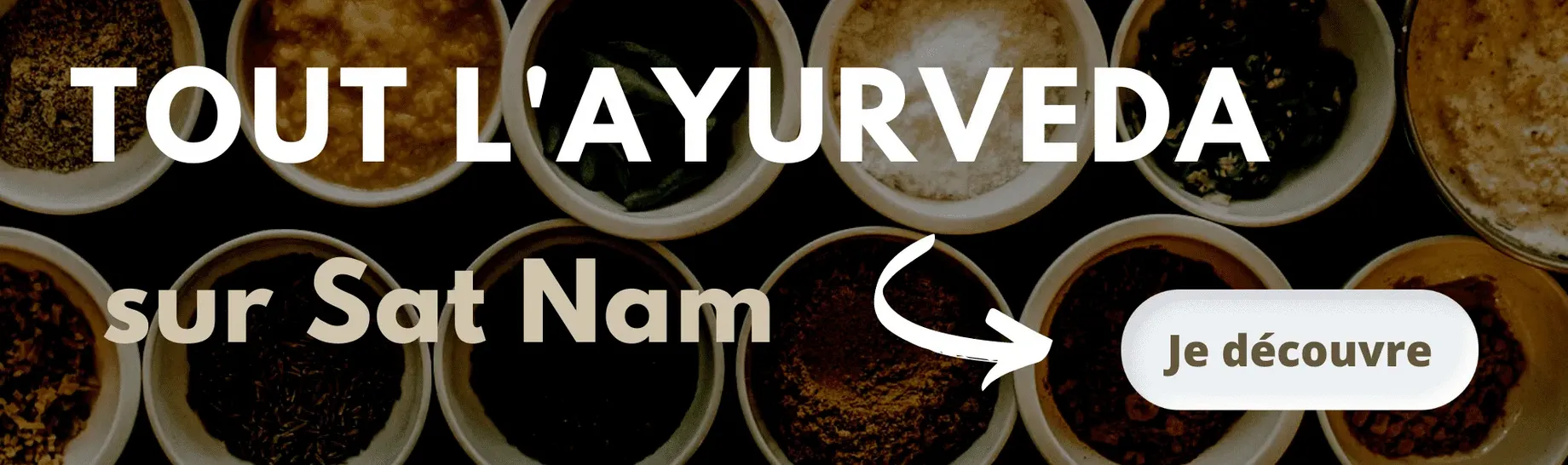 Ayurveda Sat Nam